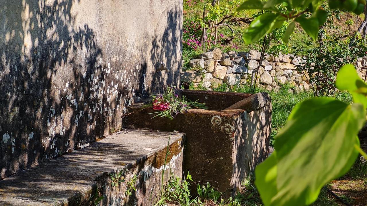 La Casina Di Redinoce Apartamento Marciana  Exterior foto